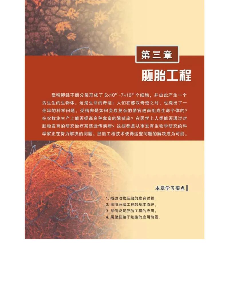 浙科版高中生物选修3《现代生物科技专题》电子课本_4-教培资料-26年最新资料-同步更新_初中高中教资_03科三专项（进去保存报考的学科即可）_112025高中科目（全）电子教材