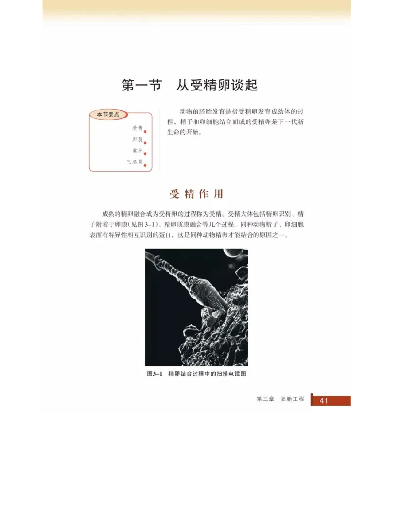 浙科版高中生物选修3《现代生物科技专题》电子课本_4-教培资料-26年最新资料-同步更新_初中高中教资_03科三专项（进去保存报考的学科即可）_112025高中科目（全）电子教材