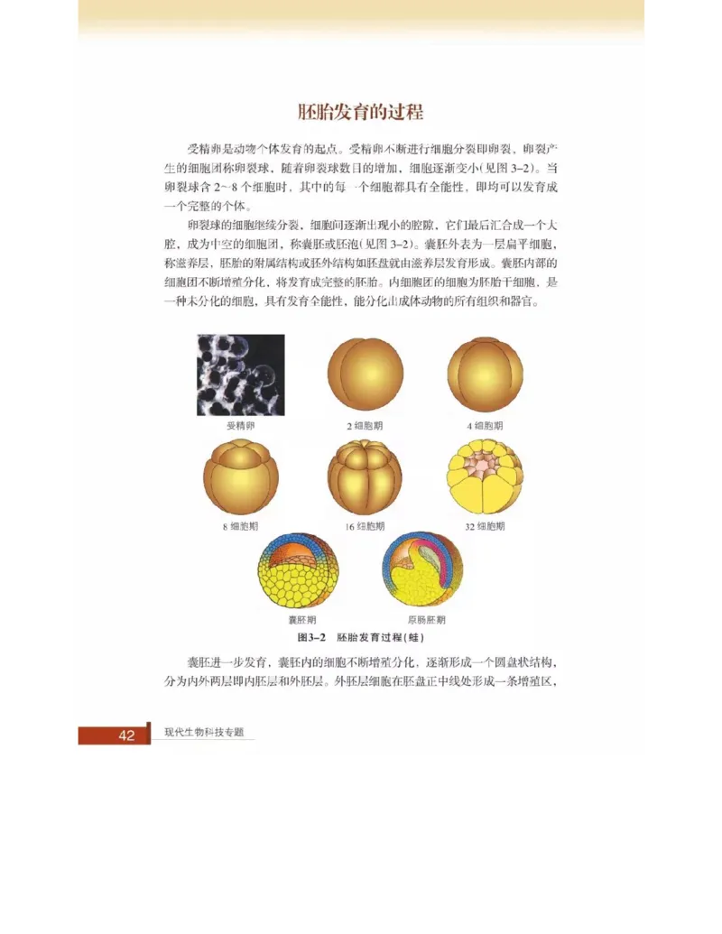 浙科版高中生物选修3《现代生物科技专题》电子课本_4-教培资料-26年最新资料-同步更新_初中高中教资_03科三专项（进去保存报考的学科即可）_112025高中科目（全）电子教材