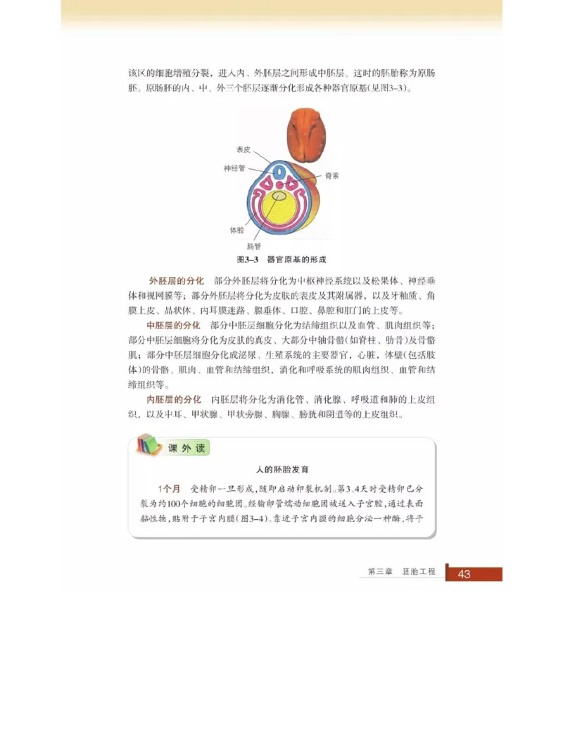 浙科版高中生物选修3《现代生物科技专题》电子课本_4-教培资料-26年最新资料-同步更新_初中高中教资_03科三专项（进去保存报考的学科即可）_112025高中科目（全）电子教材