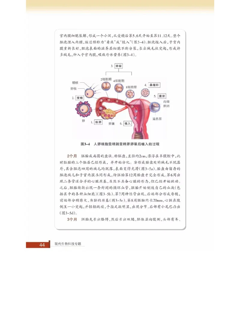 浙科版高中生物选修3《现代生物科技专题》电子课本_4-教培资料-26年最新资料-同步更新_初中高中教资_03科三专项（进去保存报考的学科即可）_112025高中科目（全）电子教材