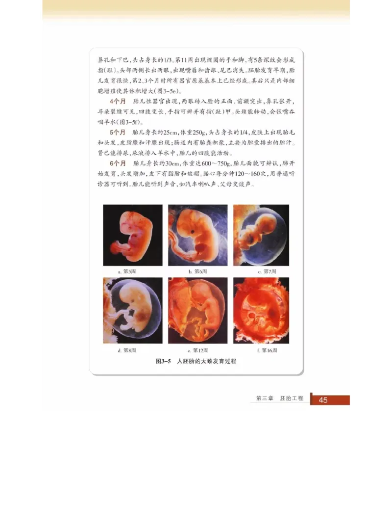 浙科版高中生物选修3《现代生物科技专题》电子课本_4-教培资料-26年最新资料-同步更新_初中高中教资_03科三专项（进去保存报考的学科即可）_112025高中科目（全）电子教材