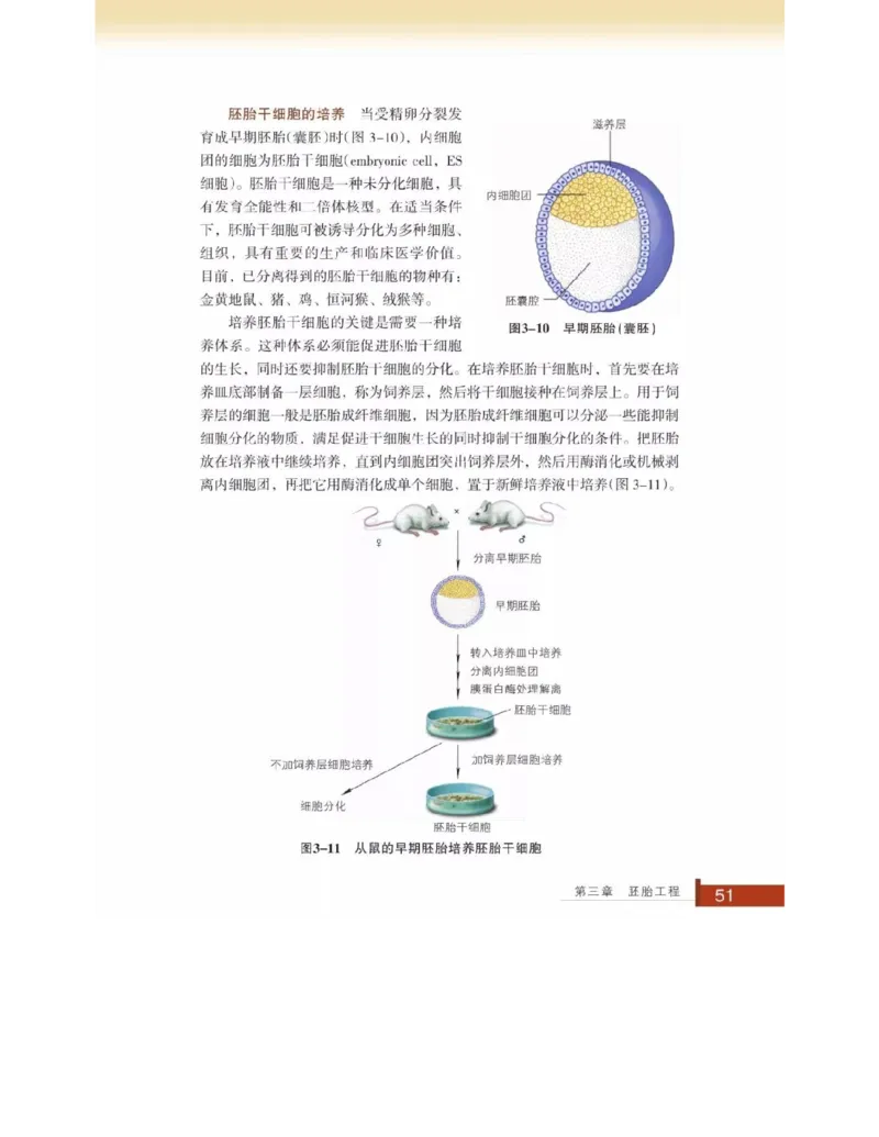 浙科版高中生物选修3《现代生物科技专题》电子课本_4-教培资料-26年最新资料-同步更新_初中高中教资_03科三专项（进去保存报考的学科即可）_112025高中科目（全）电子教材