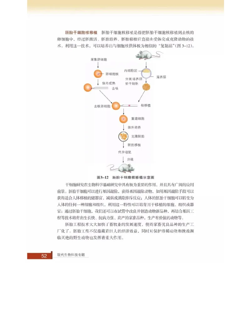 浙科版高中生物选修3《现代生物科技专题》电子课本_4-教培资料-26年最新资料-同步更新_初中高中教资_03科三专项（进去保存报考的学科即可）_112025高中科目（全）电子教材