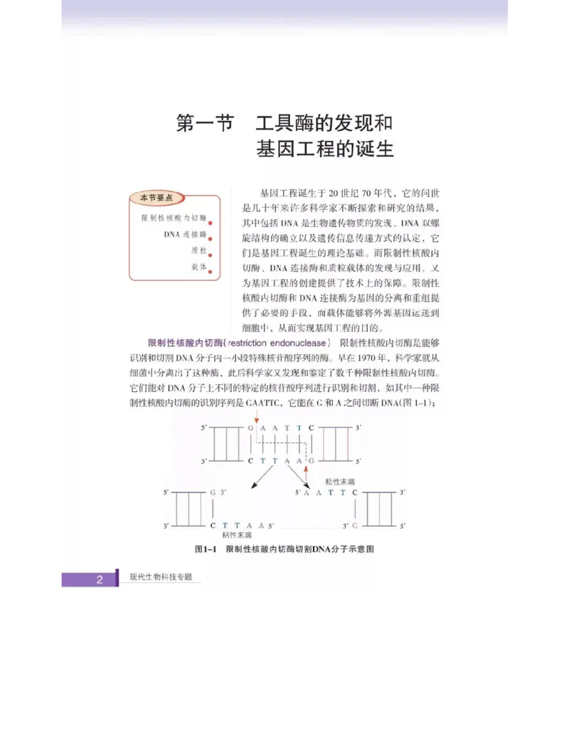 浙科版高中生物选修3《现代生物科技专题》电子课本_4-教培资料-26年最新资料-同步更新_初中高中教资_03科三专项（进去保存报考的学科即可）_112025高中科目（全）电子教材