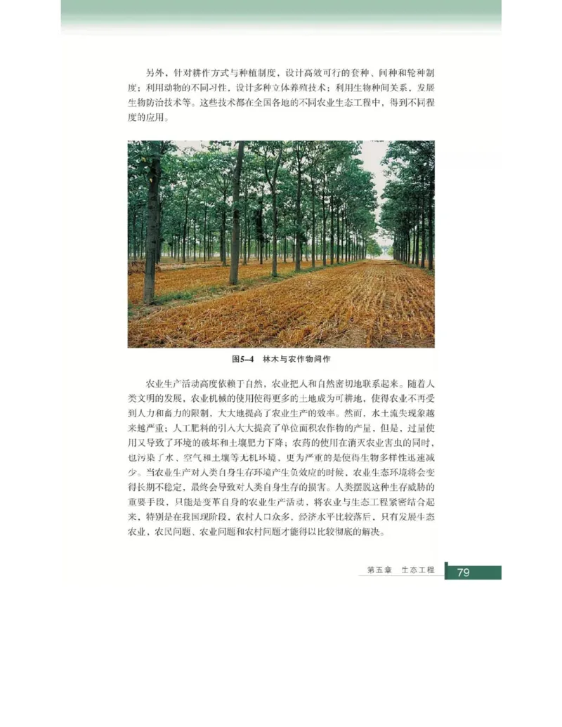 浙科版高中生物选修3《现代生物科技专题》电子课本_4-教培资料-26年最新资料-同步更新_初中高中教资_03科三专项（进去保存报考的学科即可）_112025高中科目（全）电子教材