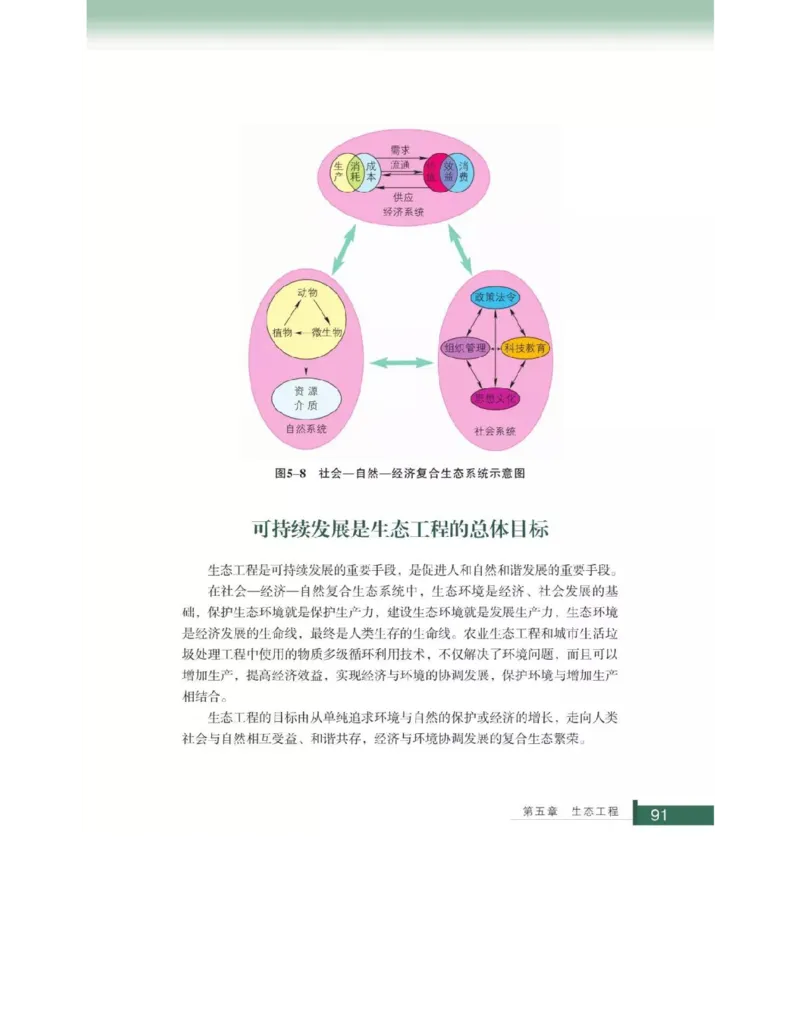 浙科版高中生物选修3《现代生物科技专题》电子课本_4-教培资料-26年最新资料-同步更新_初中高中教资_03科三专项（进去保存报考的学科即可）_112025高中科目（全）电子教材