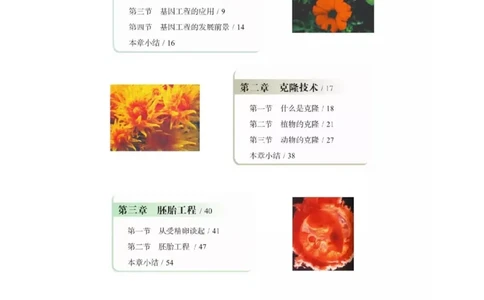 浙科版高中生物选修3《现代生物科技专题》电子课本_4-教培资料-26年最新资料-同步更新_初中高中教资_03科三专项（进去保存报考的学科即可）_112025高中科目（全）电子教材