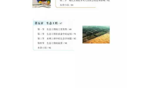 浙科版高中生物选修3《现代生物科技专题》电子课本_4-教培资料-26年最新资料-同步更新_初中高中教资_03科三专项（进去保存报考的学科即可）_112025高中科目（全）电子教材