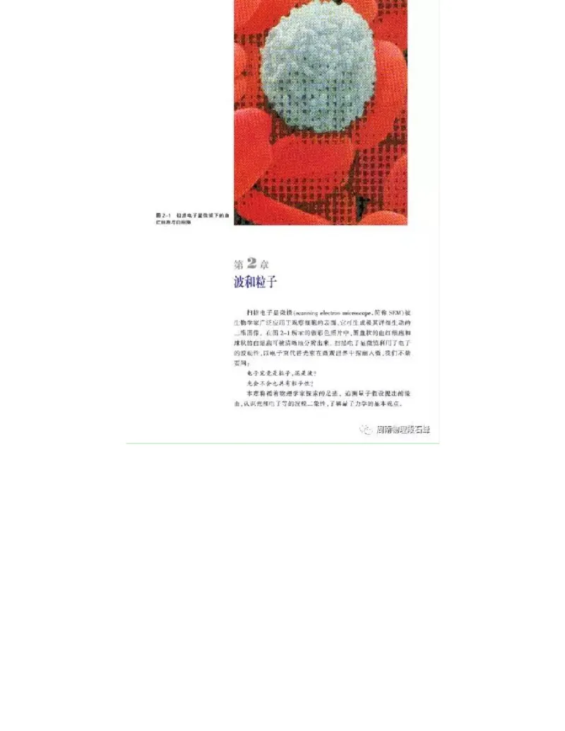 沪科教版高中物理选修3-5电子课本_4-教培资料-26年最新资料-同步更新_初中高中教资_03科三专项（进去保存报考的学科即可）_02科三专项（笔记真题思维导图教学设计版本二）