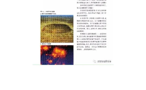 沪科教版高中物理选修3-5电子课本_4-教培资料-26年最新资料-同步更新_初中高中教资_03科三专项（进去保存报考的学科即可）_02科三专项（笔记真题思维导图教学设计版本二）