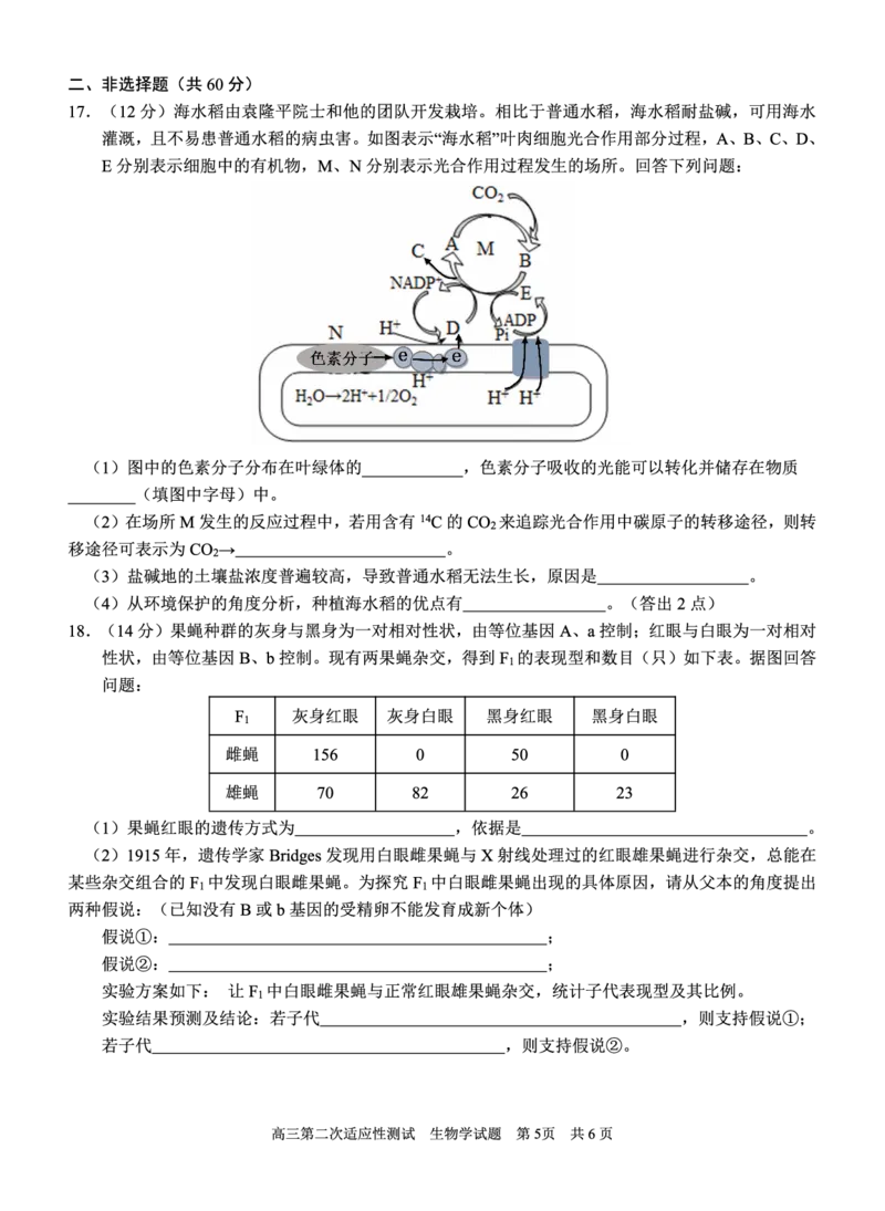 南宁三中2025年5月高三二模生物试卷_2025年6月_250601广西南宁三中2025届毕业班五月第二次适应性测试（全科）_南宁三中2025届毕业班五月第二次适应性测试生物