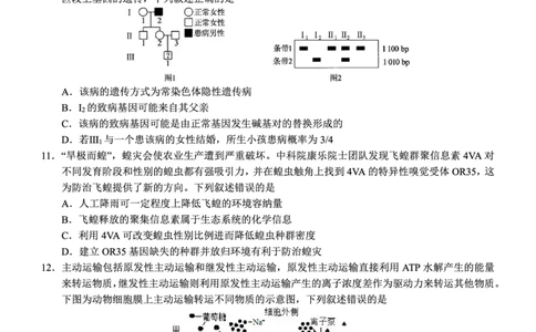 南宁三中2025年5月高三二模生物试卷_2025年6月_250601广西南宁三中2025届毕业班五月第二次适应性测试（全科）_南宁三中2025届毕业班五月第二次适应性测试生物