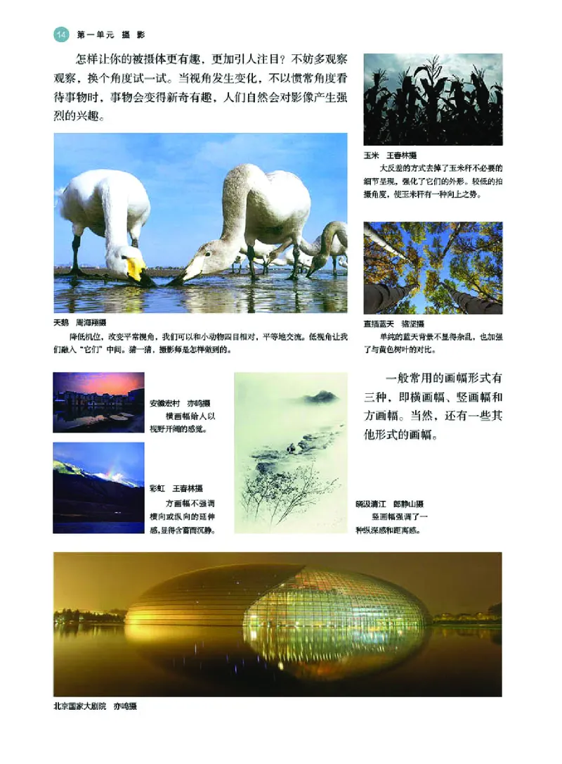 湘美版美术选修6高清教材_4-教培资料-26年最新资料-同步更新_初中高中教资_03科三专项（进去保存报考的学科即可）_02科三专项（笔记真题思维导图教学设计版本二）