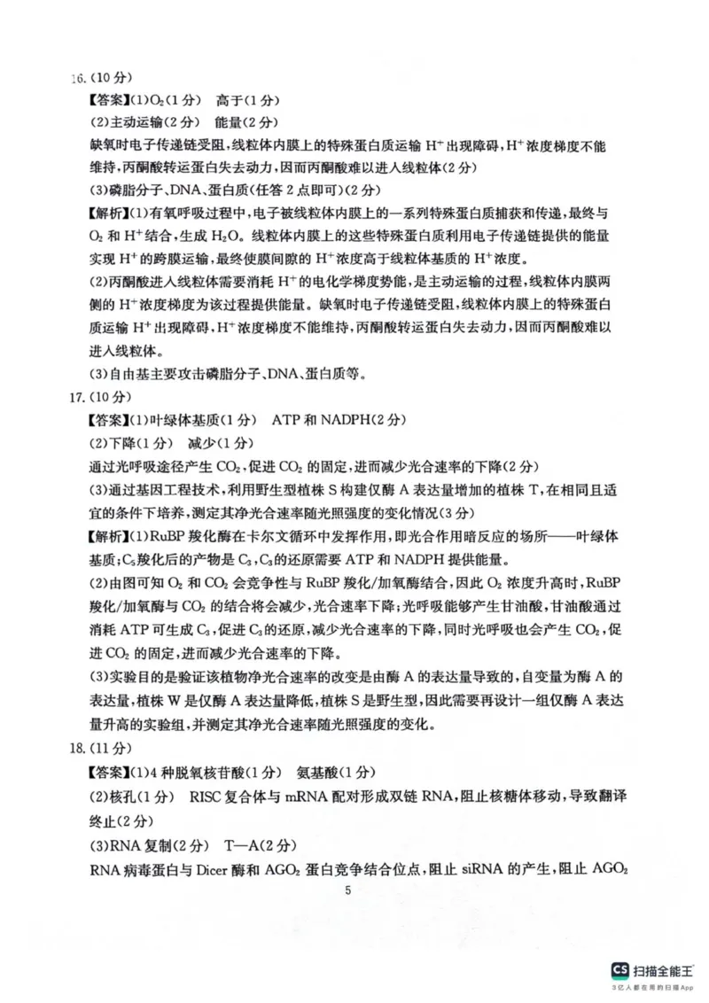 四川省绵阳南山中学2025-2026学年高三上学期11月月考生物试题（含答案）_251127四川省绵阳南山中学2025-2026学年高三上学期11月月考