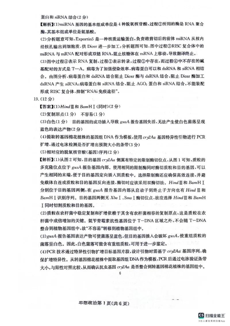 四川省绵阳南山中学2025-2026学年高三上学期11月月考生物试题（含答案）_251127四川省绵阳南山中学2025-2026学年高三上学期11月月考