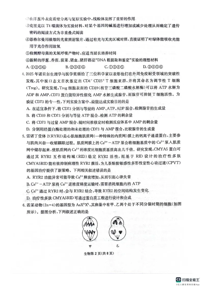 四川省绵阳南山中学2025-2026学年高三上学期11月月考生物试题（含答案）_251127四川省绵阳南山中学2025-2026学年高三上学期11月月考