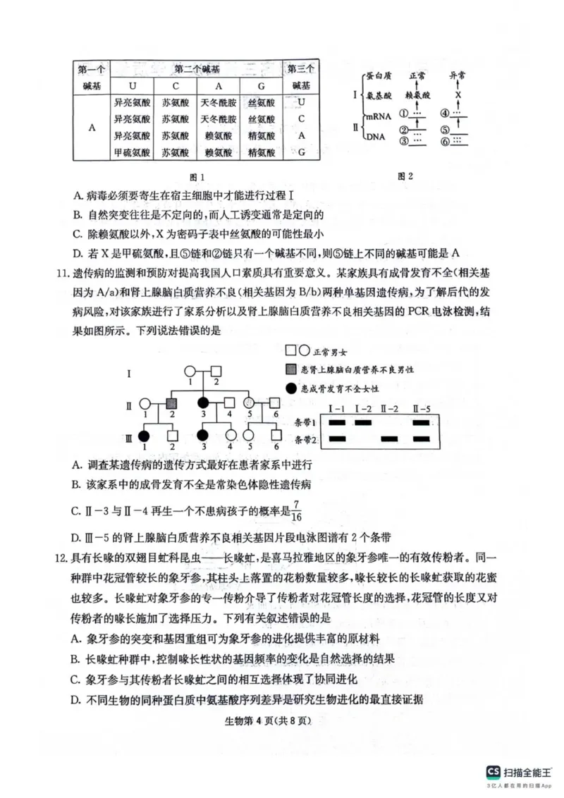 四川省绵阳南山中学2025-2026学年高三上学期11月月考生物试题（含答案）_251127四川省绵阳南山中学2025-2026学年高三上学期11月月考