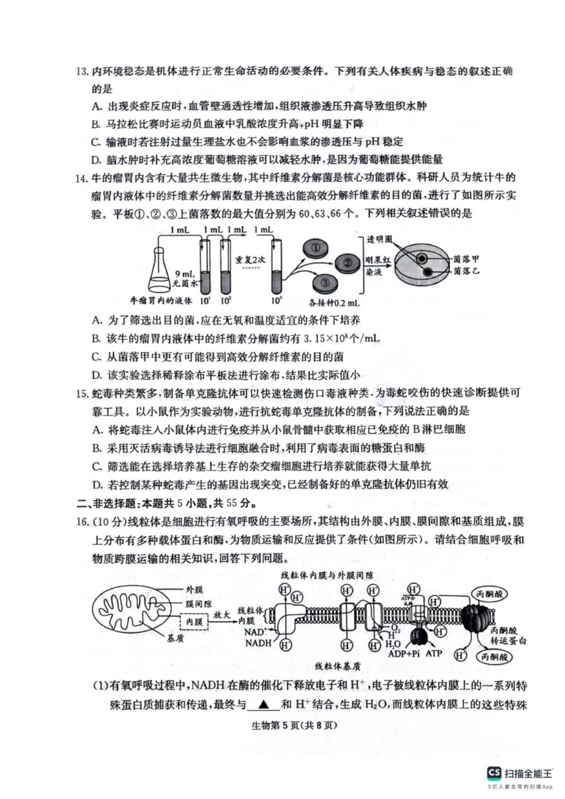 四川省绵阳南山中学2025-2026学年高三上学期11月月考生物试题（含答案）_251127四川省绵阳南山中学2025-2026学年高三上学期11月月考