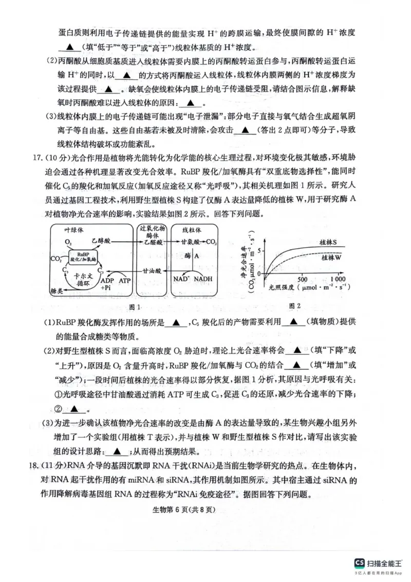 四川省绵阳南山中学2025-2026学年高三上学期11月月考生物试题（含答案）_251127四川省绵阳南山中学2025-2026学年高三上学期11月月考
