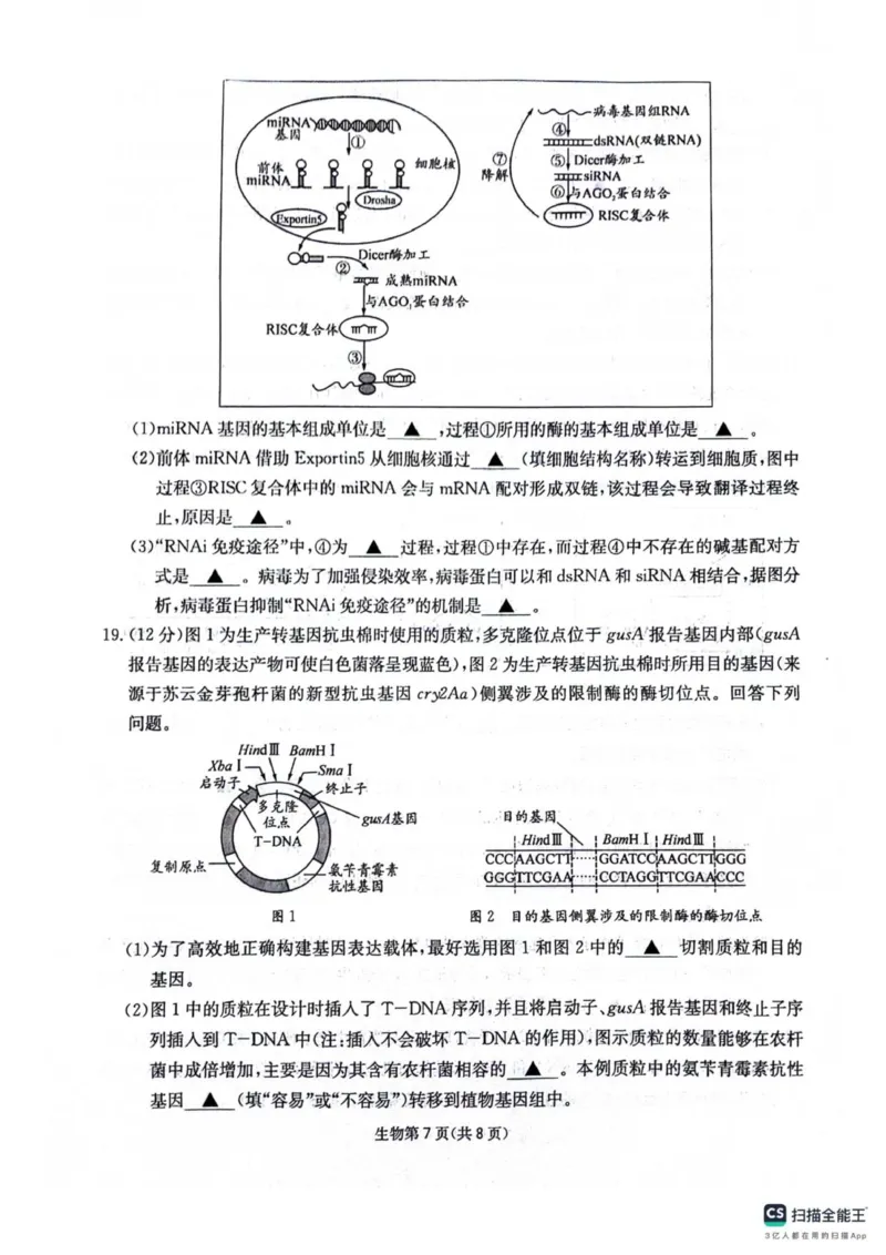 四川省绵阳南山中学2025-2026学年高三上学期11月月考生物试题（含答案）_251127四川省绵阳南山中学2025-2026学年高三上学期11月月考