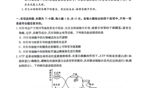 四川省绵阳南山中学2025-2026学年高三上学期11月月考生物试题（含答案）_251127四川省绵阳南山中学2025-2026学年高三上学期11月月考