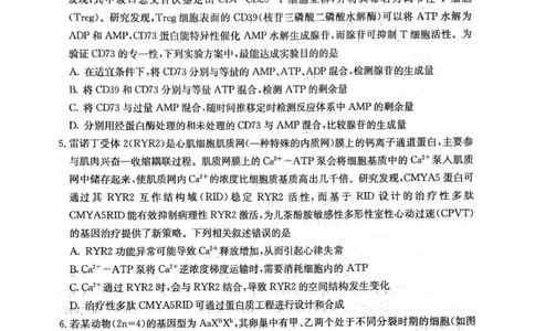 四川省绵阳南山中学2025-2026学年高三上学期11月月考生物试题（含答案）_251127四川省绵阳南山中学2025-2026学年高三上学期11月月考