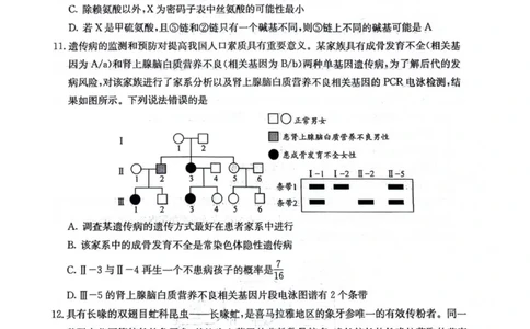 四川省绵阳南山中学2025-2026学年高三上学期11月月考生物试题（含答案）_251127四川省绵阳南山中学2025-2026学年高三上学期11月月考