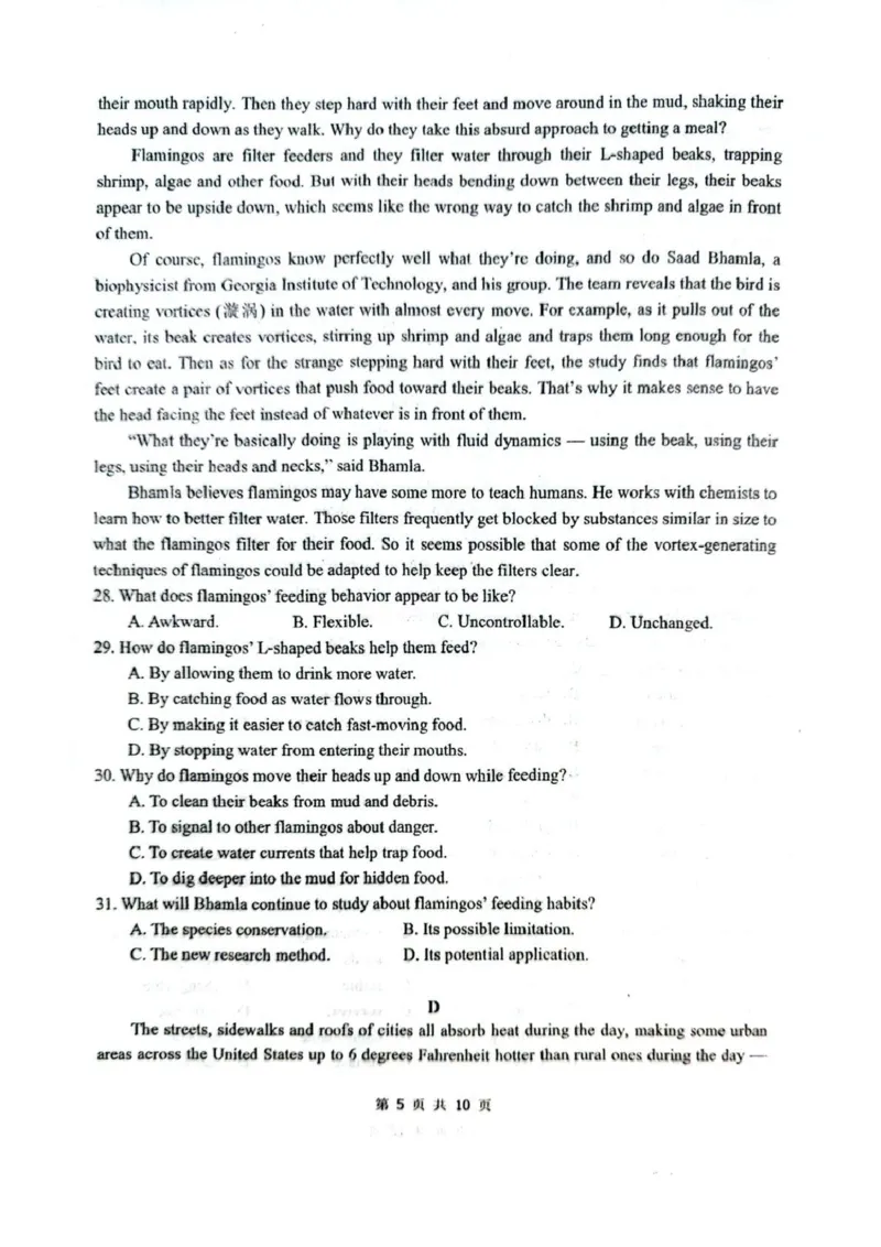 乌鲁木齐市第一中学2025--2026学年第一学期2026届高三年级第二次月考英语_251101新疆乌鲁木齐市第一中学2025--2026学年第一学期2026届高三年级第二次月考