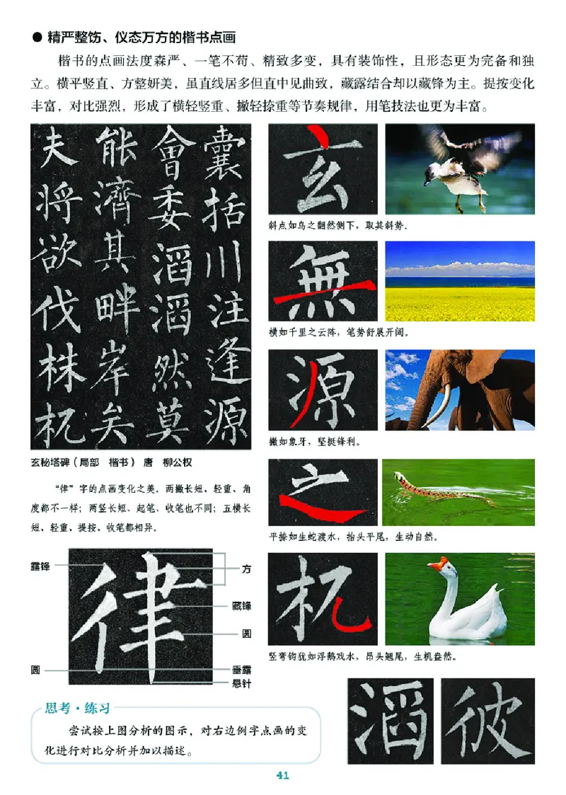 湘美版7年级美术上册高清教材_4-教培资料-26年最新资料-同步更新_初中高中教资_03科三专项（进去保存报考的学科即可）_02科三专项（笔记真题思维导图教学设计版本二）