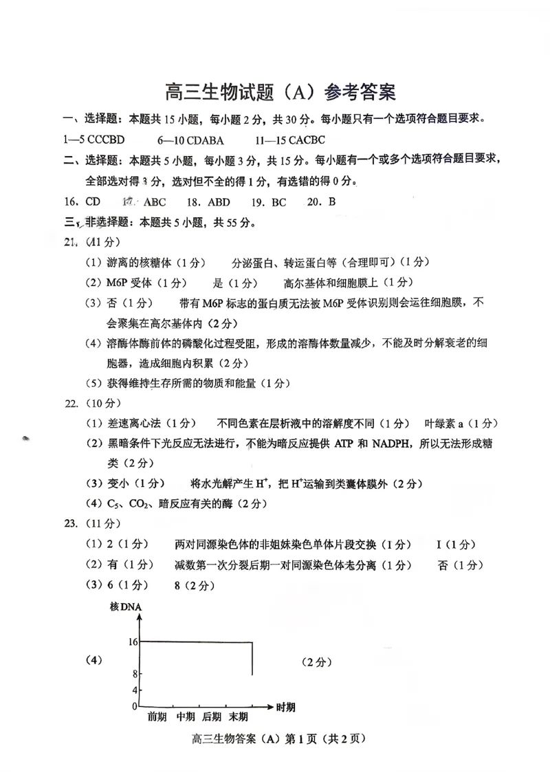 菏泽市A类高中2026届高三第一学期期中考试生物答案_251118山东省菏泽市A类高中2026届高三第一学期期中考试