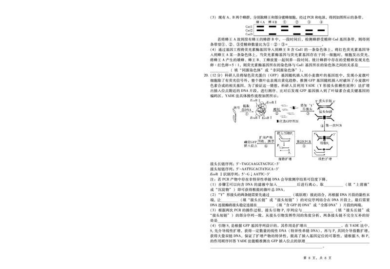 2025届重庆一中高考适应性考试生物_2025年6月_250602重庆一中高2025届高三高考适应性考试（全科）