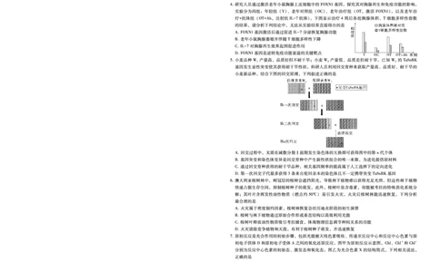 2025届重庆一中高考适应性考试生物_2025年6月_250602重庆一中高2025届高三高考适应性考试（全科）