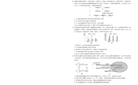 2025届重庆一中高考适应性考试生物_2025年6月_250602重庆一中高2025届高三高考适应性考试（全科）