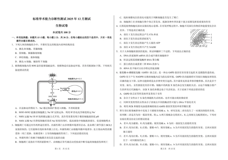 山东省日照第一中学2025-2026学年高三上学期12月学术标准能力测试（TDA）生物试题_2025年12月_251229中学生标准学术能力（TDA）诊断性测试2025-2026学年高三上学期12月测试（全科）