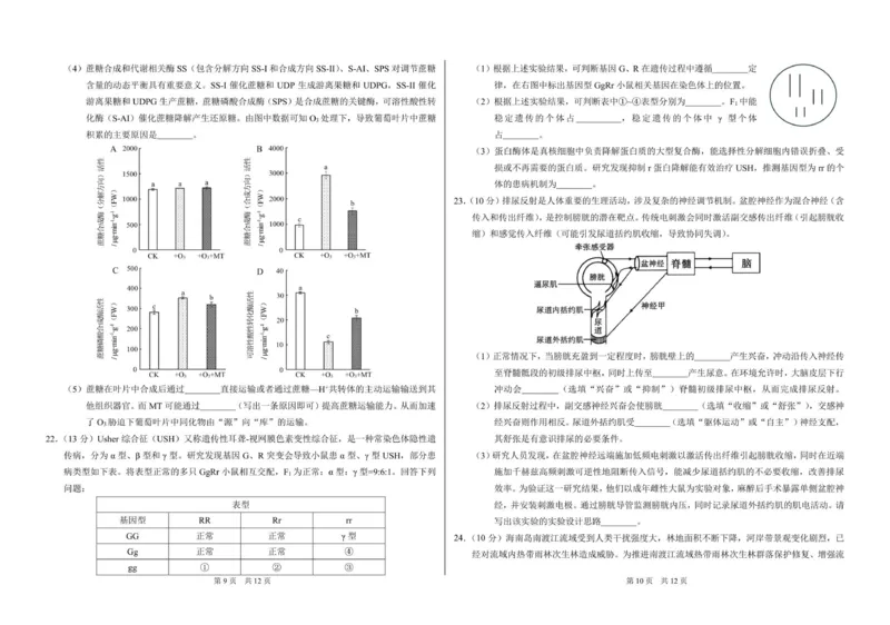 山东省日照第一中学2025-2026学年高三上学期12月学术标准能力测试（TDA）生物试题_2025年12月_251229中学生标准学术能力（TDA）诊断性测试2025-2026学年高三上学期12月测试（全科）