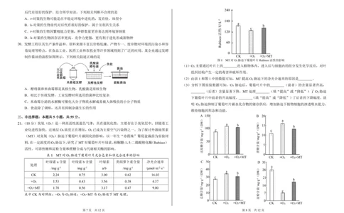 山东省日照第一中学2025-2026学年高三上学期12月学术标准能力测试（TDA）生物试题_2025年12月_251229中学生标准学术能力（TDA）诊断性测试2025-2026学年高三上学期12月测试（全科）
