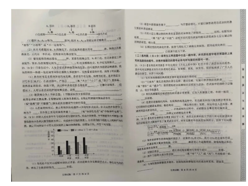 2024届陕西省渭南市高三一模生物试题_2024年1月_01每日更新_12号_2024届陕西省渭南市高三教学质量检测（一）（渭南一模）_陕西省渭南市2024届高三教学质量检测（一）（渭南一模）生物