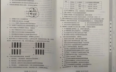 2024届陕西省渭南市高三一模生物试题_2024年1月_01每日更新_12号_2024届陕西省渭南市高三教学质量检测（一）（渭南一模）_陕西省渭南市2024届高三教学质量检测（一）（渭南一模）生物