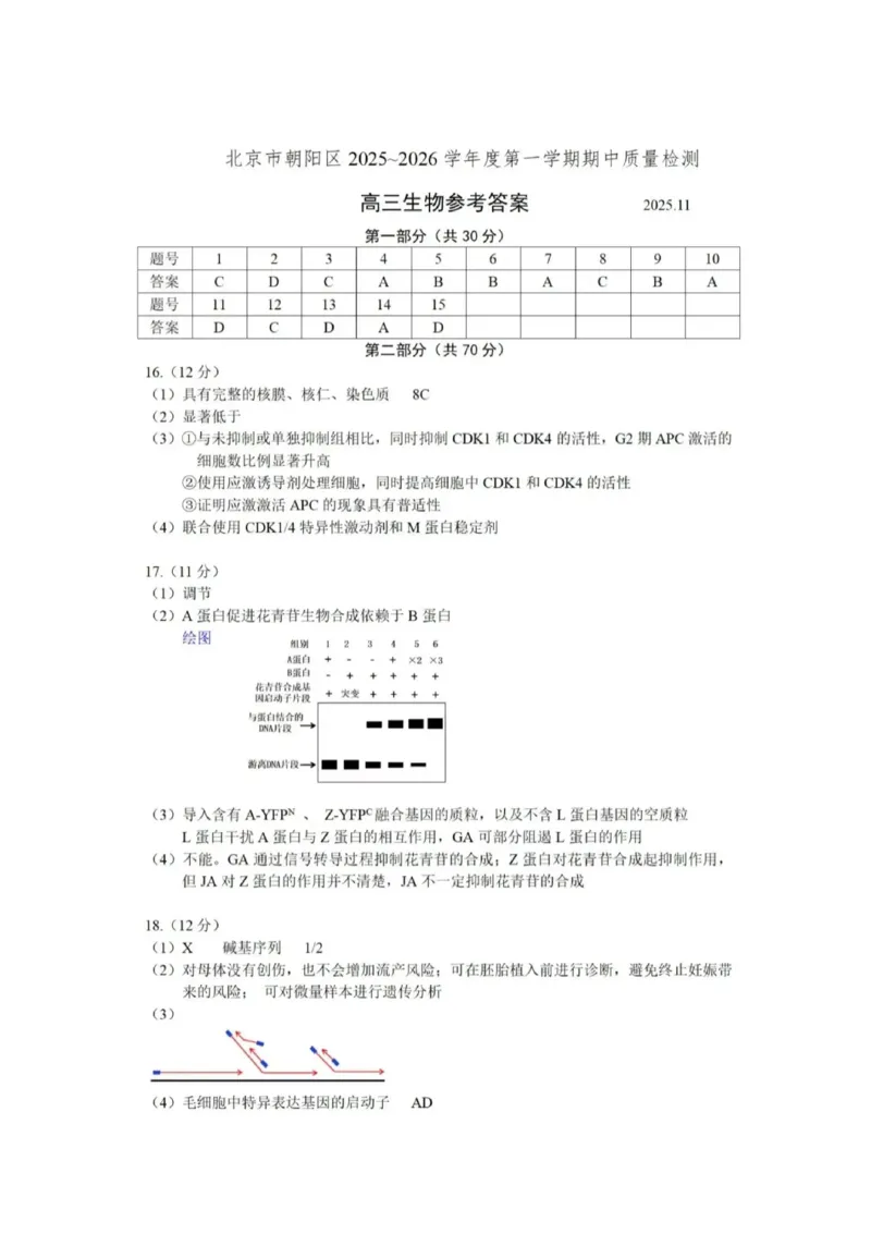 北京市朝阳区2025-2026学年高三上学期期中质量监测生物试卷（含答案）_251109北京市朝阳区2025-2026学年高三上学期期中质量检测（全科）