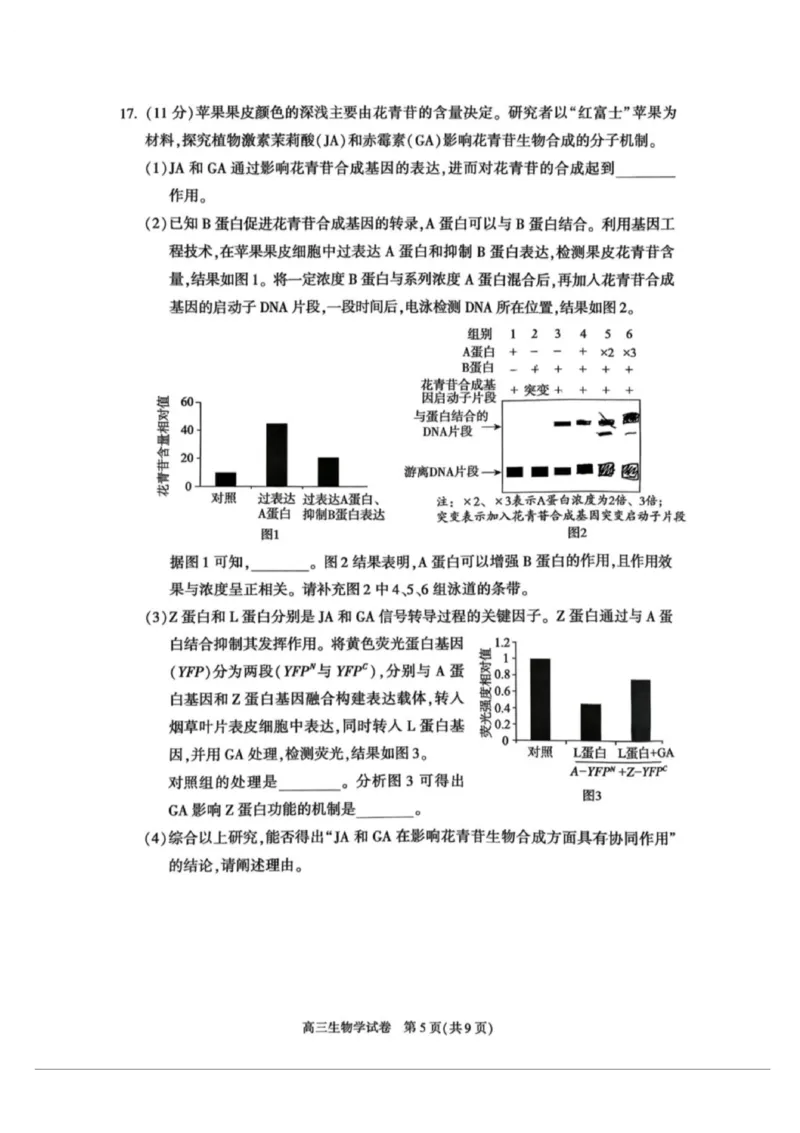 北京市朝阳区2025-2026学年高三上学期期中质量监测生物试卷（含答案）_251109北京市朝阳区2025-2026学年高三上学期期中质量检测（全科）