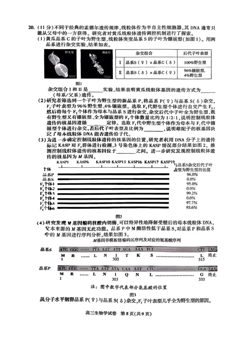 北京市朝阳区2025-2026学年高三上学期期中质量监测生物试卷（含答案）_251109北京市朝阳区2025-2026学年高三上学期期中质量检测（全科）