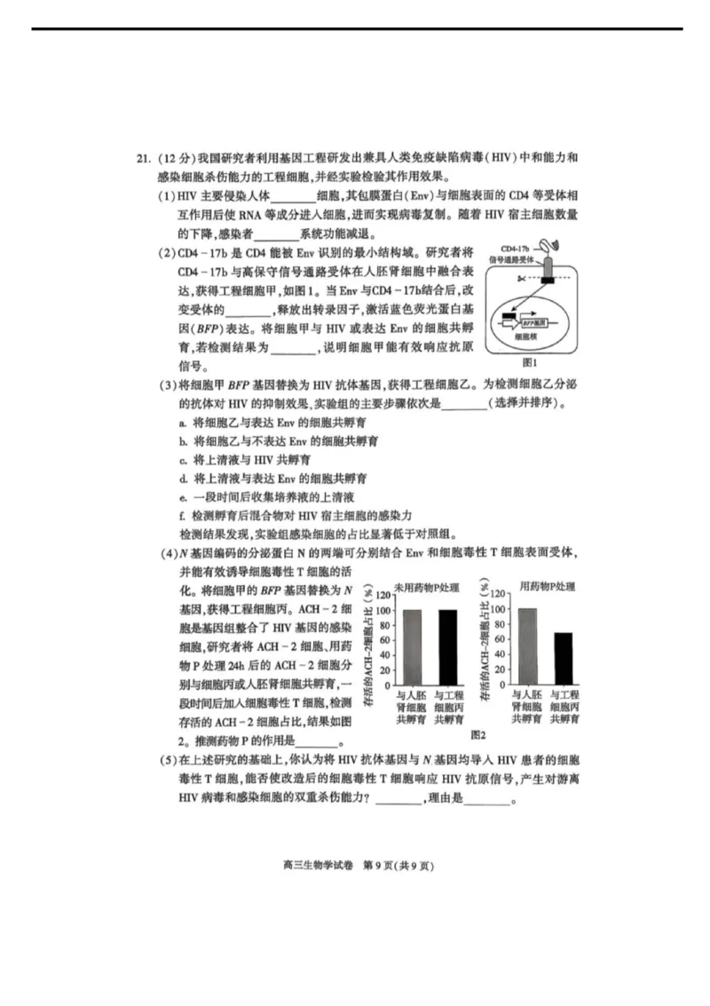 北京市朝阳区2025-2026学年高三上学期期中质量监测生物试卷（含答案）_251109北京市朝阳区2025-2026学年高三上学期期中质量检测（全科）