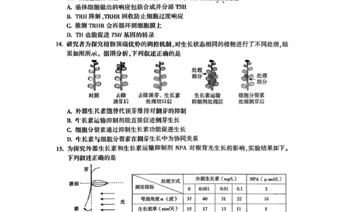 北京市朝阳区2025-2026学年高三上学期期中质量监测生物试卷（含答案）_251109北京市朝阳区2025-2026学年高三上学期期中质量检测（全科）