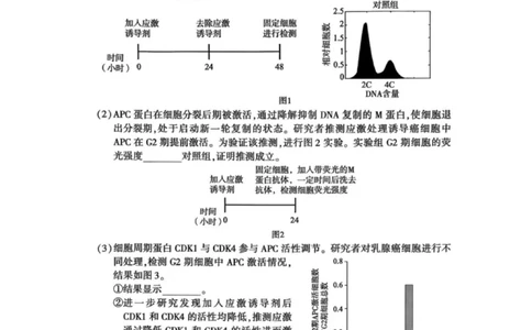 北京市朝阳区2025-2026学年高三上学期期中质量监测生物试卷（含答案）_251109北京市朝阳区2025-2026学年高三上学期期中质量检测（全科）