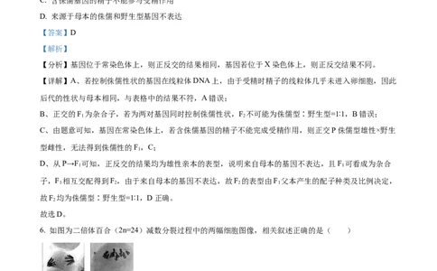 精品解析：江苏省新高考基地学校2023-2024学年高三12月月考生物试题（解析版）_2024届江苏省新高考基地学校高三上学期第三次大联考