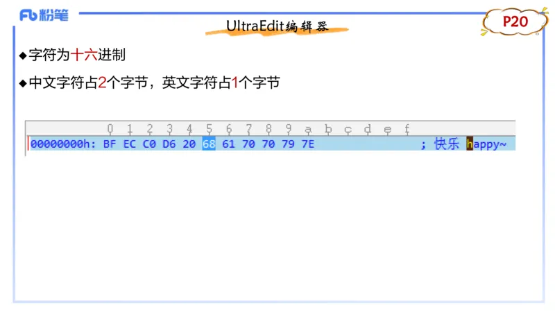 理论精讲03-信息和计算机基础3&middot;孙珍珍_4-教培资料-26年最新资料-同步更新_初中高中教资_03科三专项（进去保存报考的学科即可）_初中_初中信息技术通关资料包_1.理论精讲_讲义