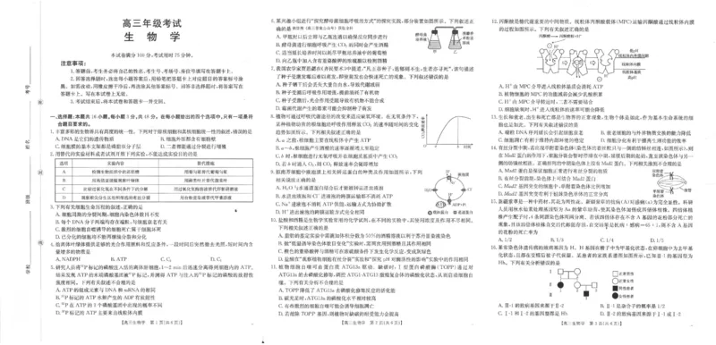 生物_251104陕西省2025届高三上学期10月联考