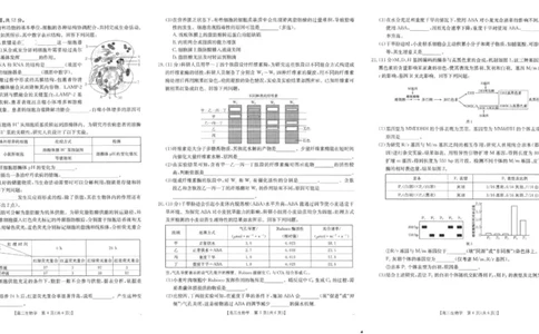 生物_251104陕西省2025届高三上学期10月联考