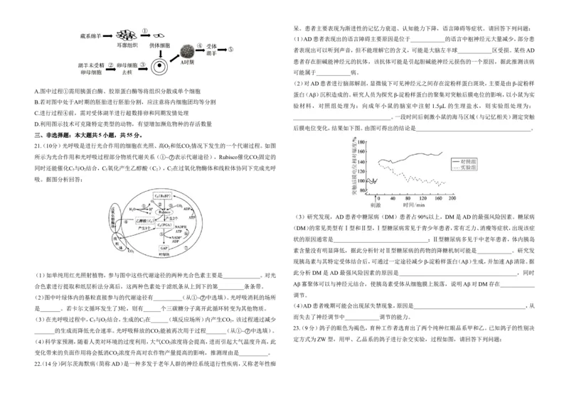 2025届高考生物学热点核心卷新高考卷一_2025年6月_2506022025届高考生物学热点核心卷新高考卷_2025届高考生物学热点核心卷新高考卷一（含解析）